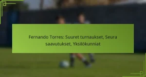 Fernando Torres: Suuret turnaukset, Seura saavutukset, Yksilökunniat
